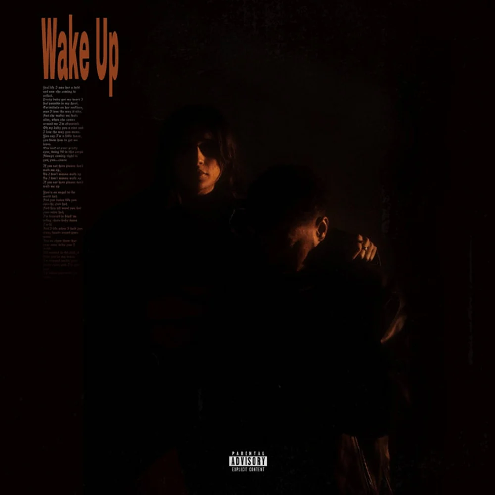 Wake Up single artwork by The Young One