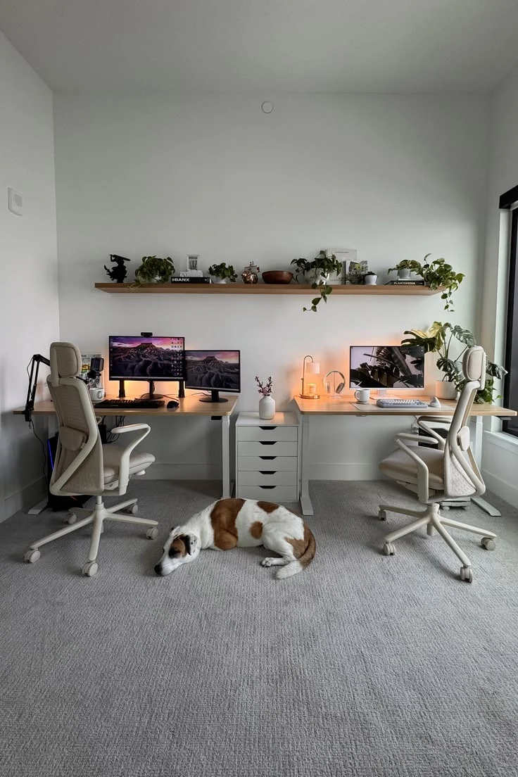 Two desks side by side with a dog asleep on the rug between them