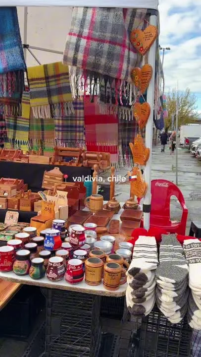 Still from Lola’s Valdivia, Chile travel diary