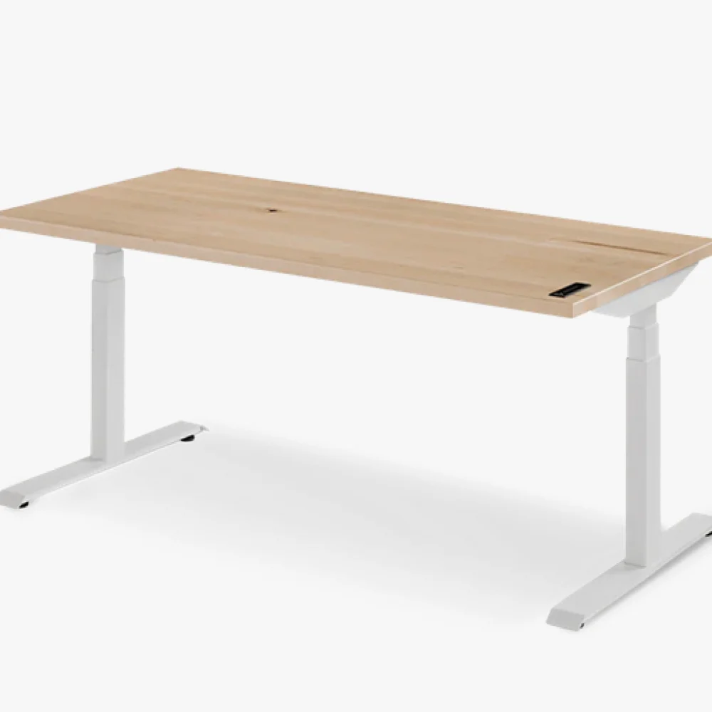Ergonofis Sway Desk