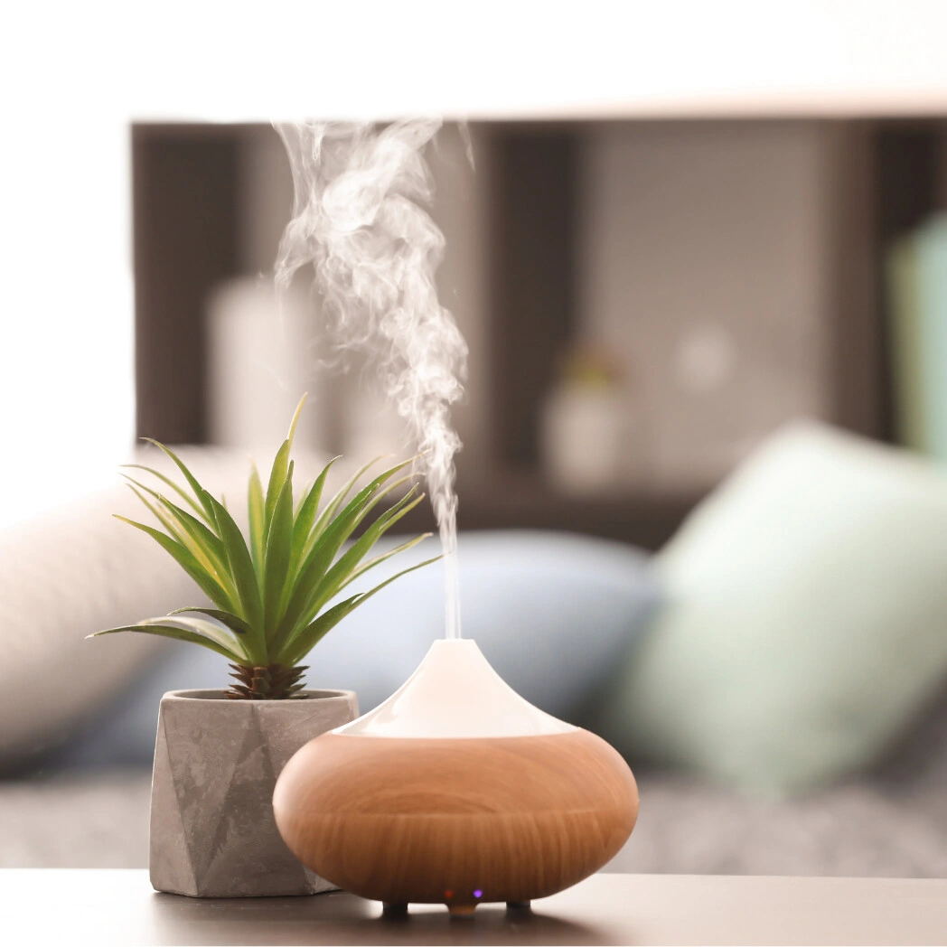 Wooden aroma diffuser beside a small potted plant