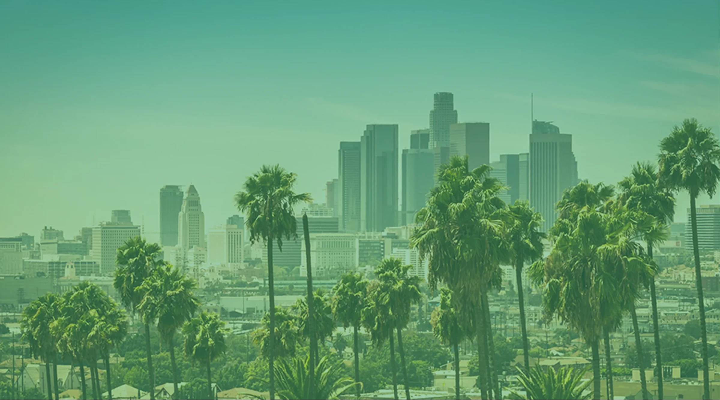 The Los Angeles skyline behind palm trees