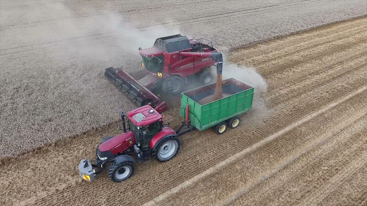 Combine unloading into a chaser bin in New Zealand