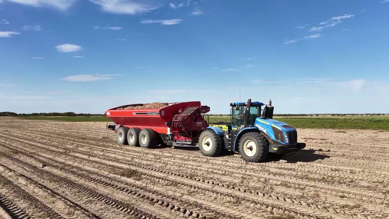 Tractor and chaser bin at Topfield Farms harvest