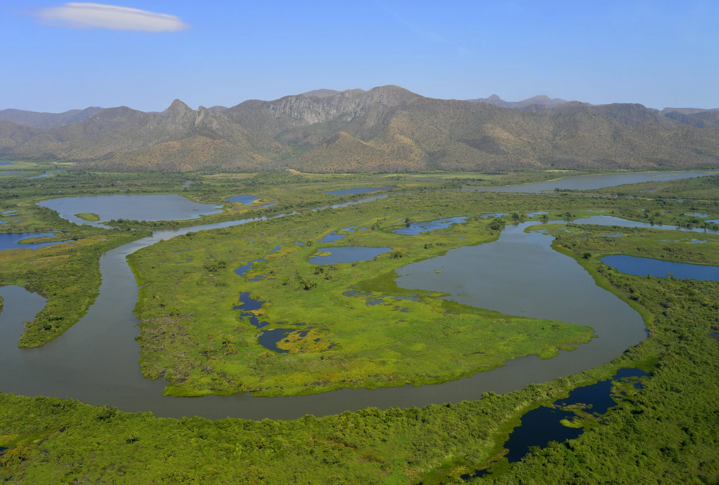 Expansive green wetland ecosystem viewed from above