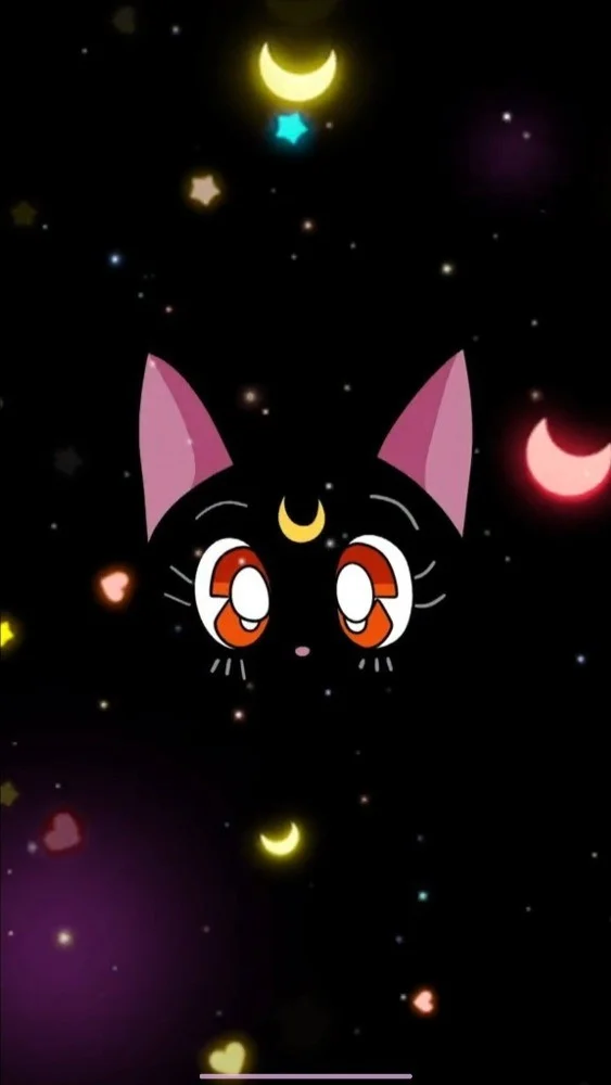 Luna the black cat with a crescent moon on a starry black background