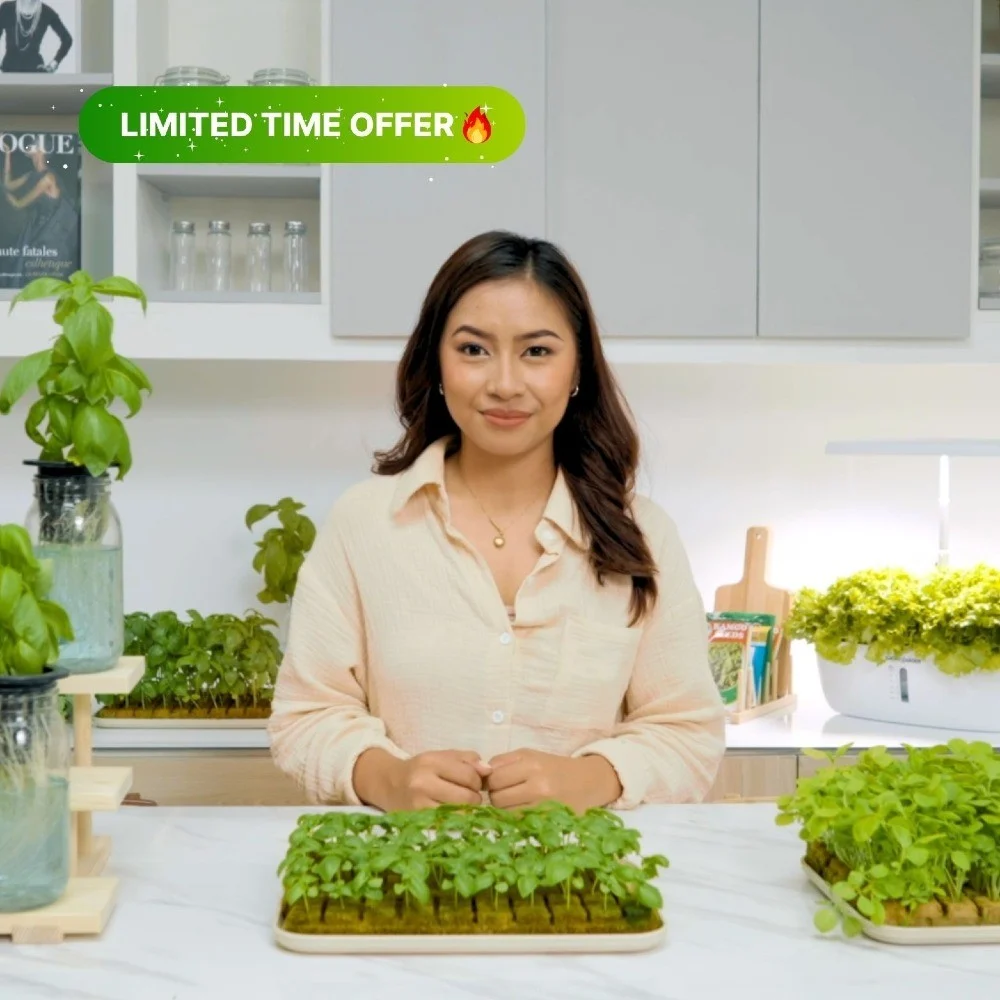 The Mini Farm Challenge by Urban Farmer TV