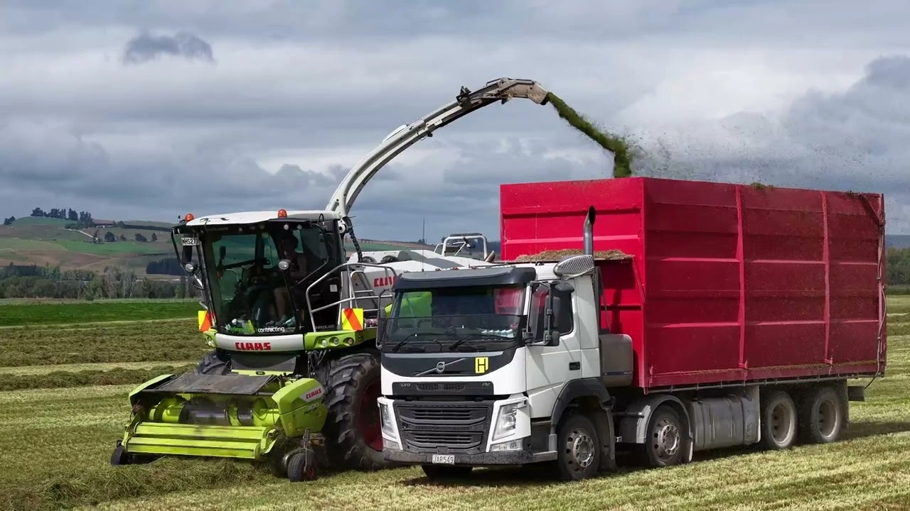 Forage harvester filling a red truck in New Zealand